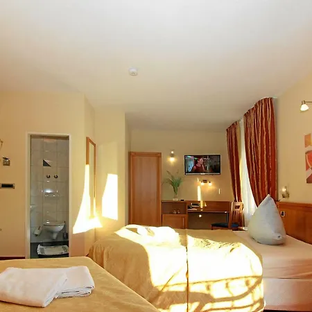Otel Hotel-restaurant Axion